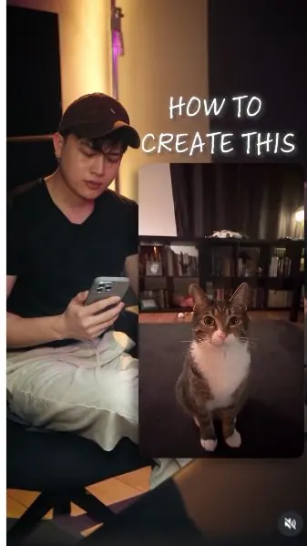 Original Instagram preview for Create a fast cat-tracking video
