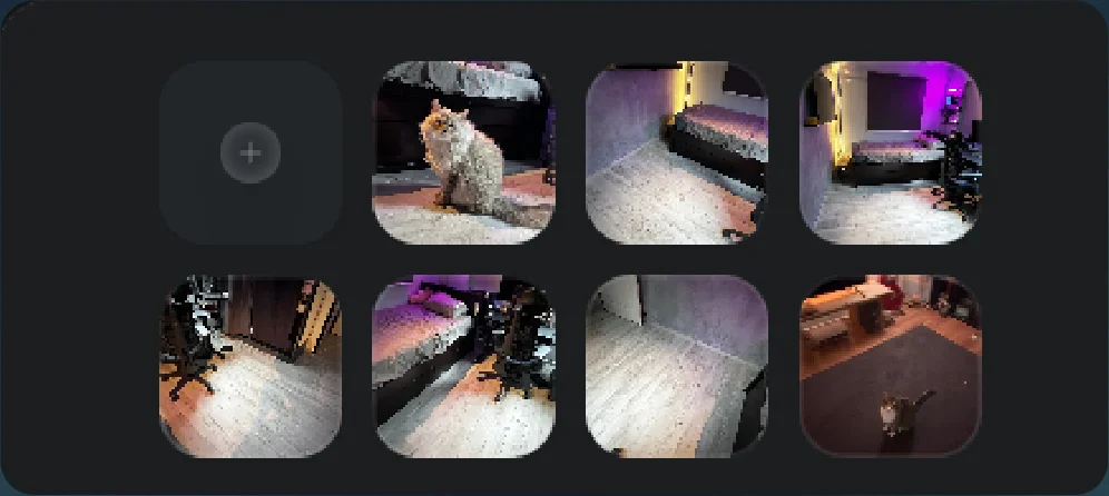 Uploaded cat, room and motion references