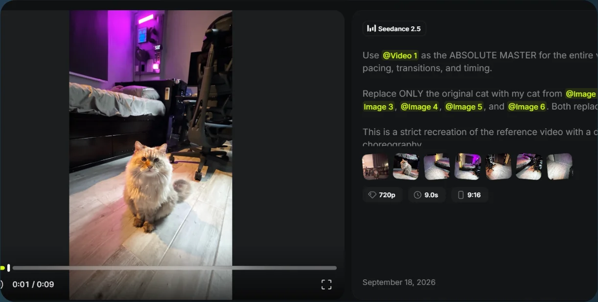 Cat-tracking result