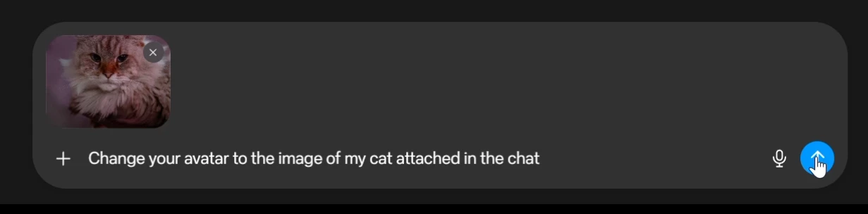 Muse composer with a cat photo attached, an avatar-change request and the blue send button.